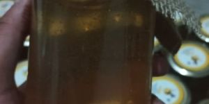 Raw Kashmiri Honey Acacia