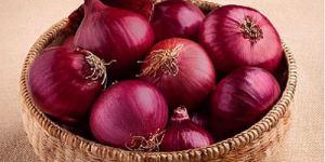Fresh Red Onion