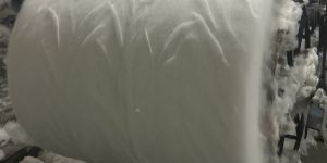 Polyester Staple Fiber