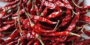 Dry Red Chilli