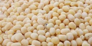 Urad Dal