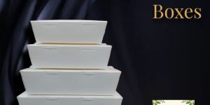 Paper Food Boxes