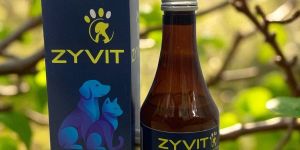 bueza zyvit 200ml veterinary medicines
