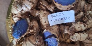 Black Turmeric Finger