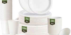 Disposable Plates