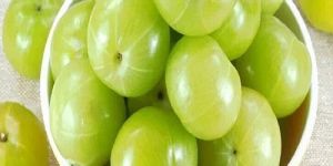 Fresh Green Amla