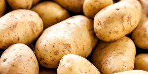 Potatoes