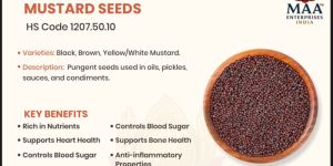 Mustard Seeds