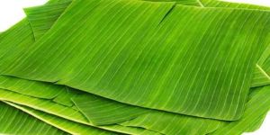 Banana Leaf