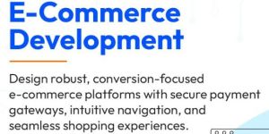 E-commerce Development
