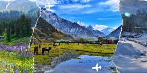 Kashmir Tour Packages