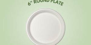 Bagasse Plate