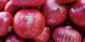 Red Onion