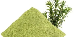 Aromatic Rosemary Powder