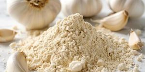 Premium Aromatic Seasoning Garlic Powder
