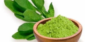 Rich Spinach Powder