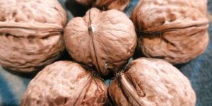 Walnuts