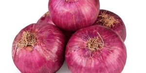 Shallots Onion