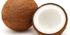 Semi Husked Coconuts