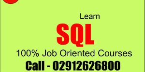 SQL Courses