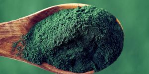 Spirulina Powder