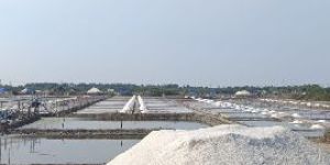 Sea Salt