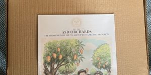 Langra Mango
