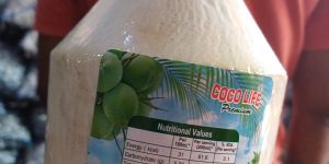 Young Green Coconuts