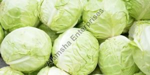 Cabbage