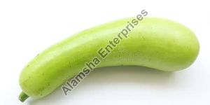 Fresh Bottle Gourd