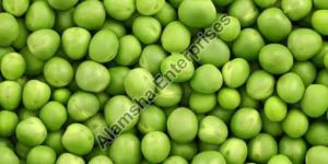 Green Peas