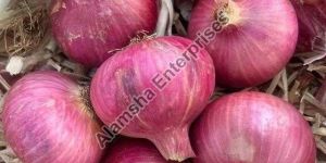Fresh Red Onion