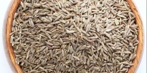 Brown Cumin Seeds