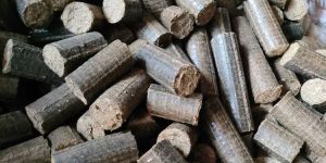 Bio Coal Briquettes