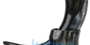 Viking Drinking Horn