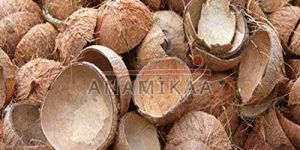 Raw Coconut Shells