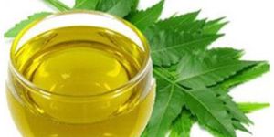 Organic Neem Oil