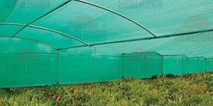 Shade Net