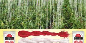 Stitching Thread Sutli