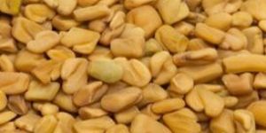 Fenugreek Seeds