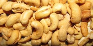 Cashew