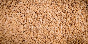 Natural Sesame Seeds