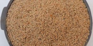 Psyllium Seeds