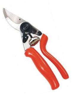 Pruning Secateurs