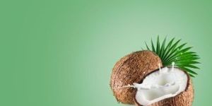 Coconut