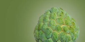 Fresh Custard Apple
