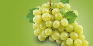 Fresh Green Grapes