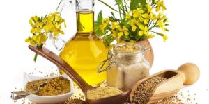 Mustard Oil