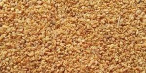 Dehydrated Garlic Minced