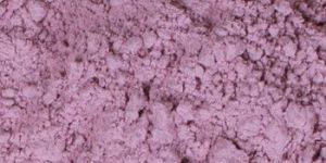 Dehydrated Red Onion Powder